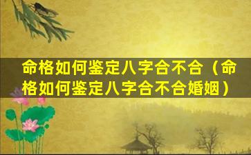 命格如何鉴定八字合不合（命格如何鉴定八字合不合婚姻）