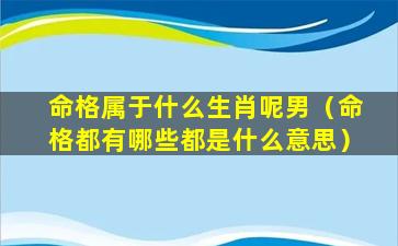 命格属于什么生肖呢男（命格都有哪些都是什么意思）