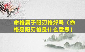 命格属于阳刃格好吗（命格是阳刃格是什么意思）