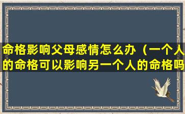 命格影响父母感情怎么办（一个人的命格可以影响另一个人的命格吗）