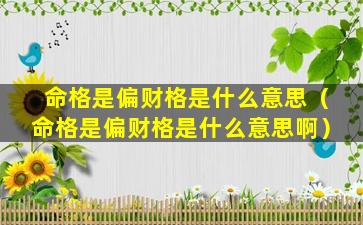 命格是偏财格是什么意思（命格是偏财格是什么意思啊）