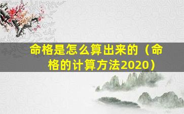 命格是怎么算出来的（命格的计算方法2020）