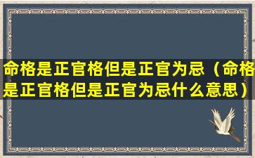 命格是正官格但是正官为忌（命格是正官格但是正官为忌什么意思）