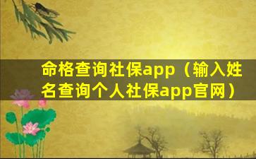 命格查询社保app（输入姓名查询个人社保app官网）