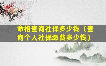 命格查询社保多少钱（查询个人社保缴费多少钱）