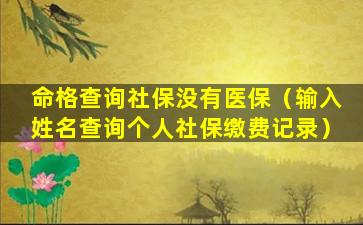 命格查询社保没有医保（输入姓名查询个人社保缴费记录）