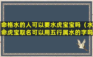 命格水的人可以要水虎宝宝吗（水命虎宝取名可以用五行属水的字吗）