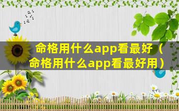 命格用什么app看最好（命格用什么app看最好用）