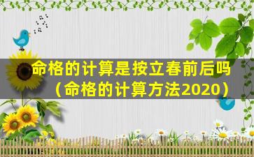 命格的计算是按立春前后吗（命格的计算方法2020）