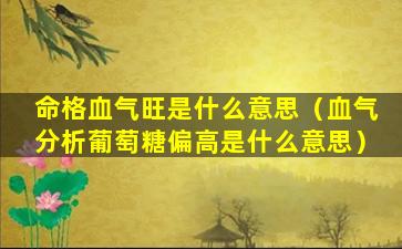 命格血气旺是什么意思（血气分析葡萄糖偏高是什么意思）