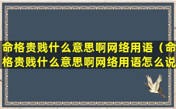 命格贵贱什么意思啊网络用语（命格贵贱什么意思啊网络用语怎么说）