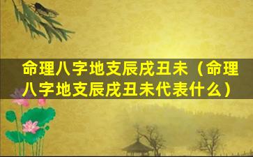 命理八字地支辰戌丑未（命理八字地支辰戌丑未代表什么）