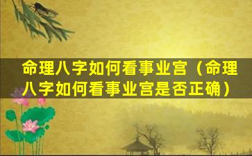 命理八字如何看事业宫（命理八字如何看事业宫是否正确）