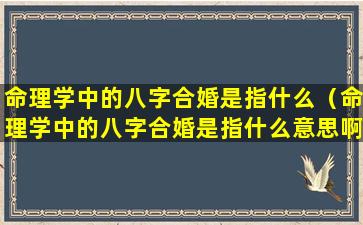 命理学中的八字合婚是指什么（命理学中的八字合婚是指什么意思啊）