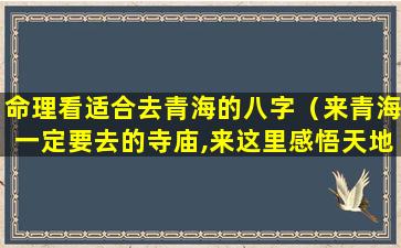 命理看适合去青海的八字（来青海一定要去的寺庙,来这里感悟天地大美!）