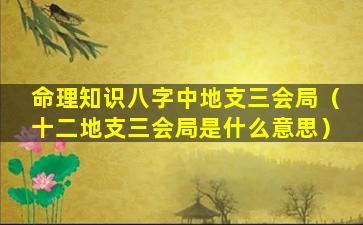 命理知识八字中地支三会局（十二地支三会局是什么意思）