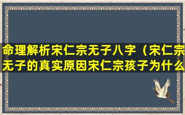 命理解析宋仁宗无子八字（宋仁宗无子的真实原因宋仁宗孩子为什么死了那么多）