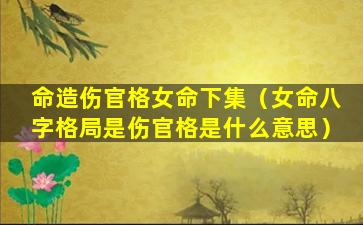 命造伤官格女命下集（女命八字格局是伤官格是什么意思）