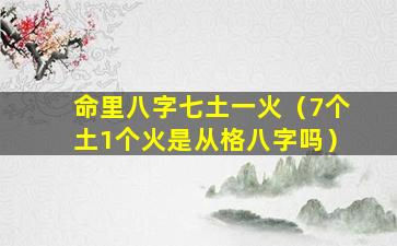 命里八字七土一火（7个土1个火是从格八字吗）