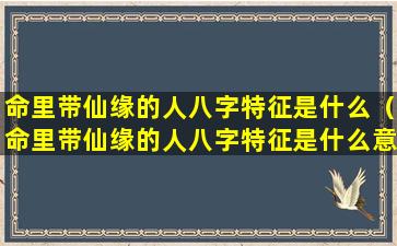 命里带仙缘的人八字特征是什么（命里带仙缘的人八字特征是什么意思）