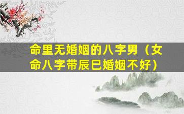 命里无婚姻的八字男（女命八字带辰巳婚姻不好）