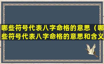 哪些符号代表八字命格的意思（哪些符号代表八字命格的意思和含义）