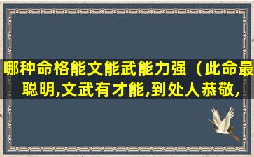 哪种命格能文能武能力强（此命最聪明,文武有才能,到处人恭敬,为人心公平）