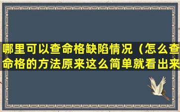 哪里可以查命格缺陷情况（怎么查命格的方法原来这么简单就看出来了）