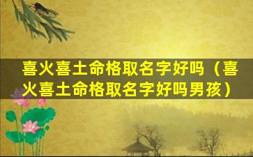 喜火喜土命格取名字好吗（喜火喜土命格取名字好吗男孩）