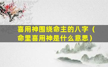 喜用神围绕命主的八字（命里喜用神是什么意思）