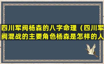 四川军阀杨森的八字命理（四川军阀混战的主要角色杨森是怎样的人）