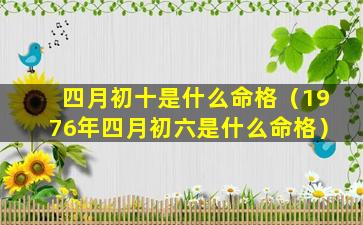 四月初十是什么命格（1976年四月初六是什么命格）