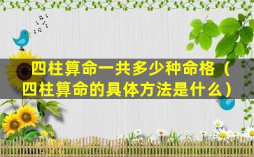 四柱算命一共多少种命格（四柱算命的具体方法是什么）