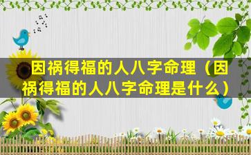 因祸得福的人八字命理（因祸得福的人八字命理是什么）