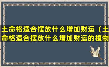 土命格适合摆放什么增加财运（土命格适合摆放什么增加财运的植物）