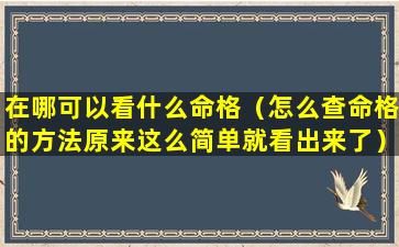 在哪可以看什么命格（怎么查命格的方法原来这么简单就看出来了）