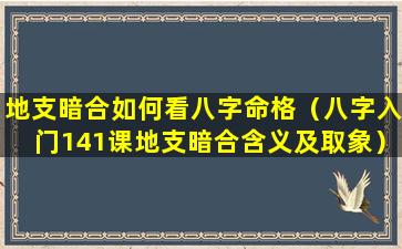 地支暗合如何看八字命格（八字入门141课地支暗合含义及取象）