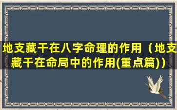 地支藏干在八字命理的作用（地支藏干在命局中的作用(重点篇)）