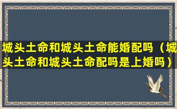 城头土命和城头土命能婚配吗（城头土命和城头土命配吗是上婚吗）