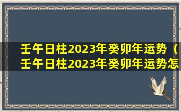 壬午日柱2023年癸卯年运势（壬午日柱2023年癸卯年运势怎么样）