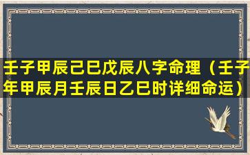 壬子甲辰己巳戊辰八字命理（壬子年甲辰月壬辰日乙巳时详细命运）