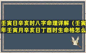 壬寅日辛亥时八字命理详解（壬寅年壬寅月辛亥日丁酉时生命格怎么样）