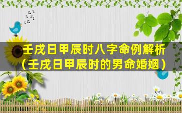 壬戌日甲辰时八字命例解析（壬戌日甲辰时的男命婚姻）