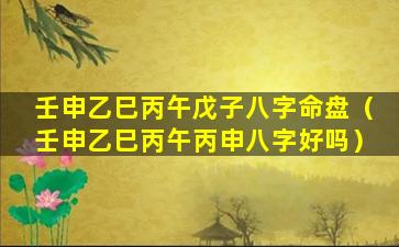 壬申乙巳丙午戊子八字命盘（壬申乙巳丙午丙申八字好吗）