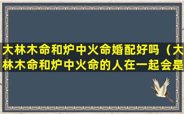 大林木命和炉中火命婚配好吗（大林木命和炉中火命的人在一起会是什么样）