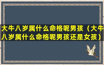 大牛八岁属什么命格呢男孩（大牛八岁属什么命格呢男孩还是女孩）