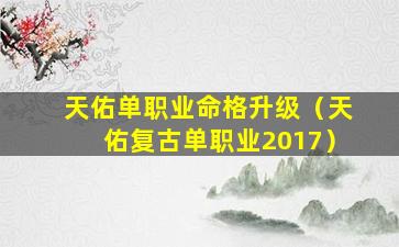 天佑单职业命格升级（天佑复古单职业2017）