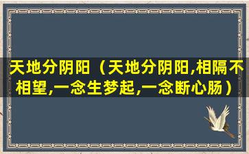 天地分阴阳（天地分阴阳,相隔不相望,一念生梦起,一念断心肠）