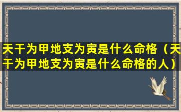 天干为甲地支为寅是什么命格（天干为甲地支为寅是什么命格的人）