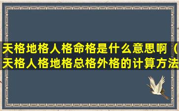 天格地格人格命格是什么意思啊（天格人格地格总格外格的计算方法）